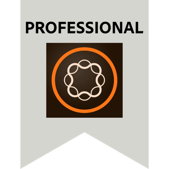 Adobe Experience Manager Professional